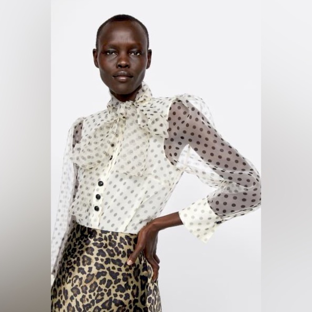 Zara polka dots semi-sheer organza buttoned top